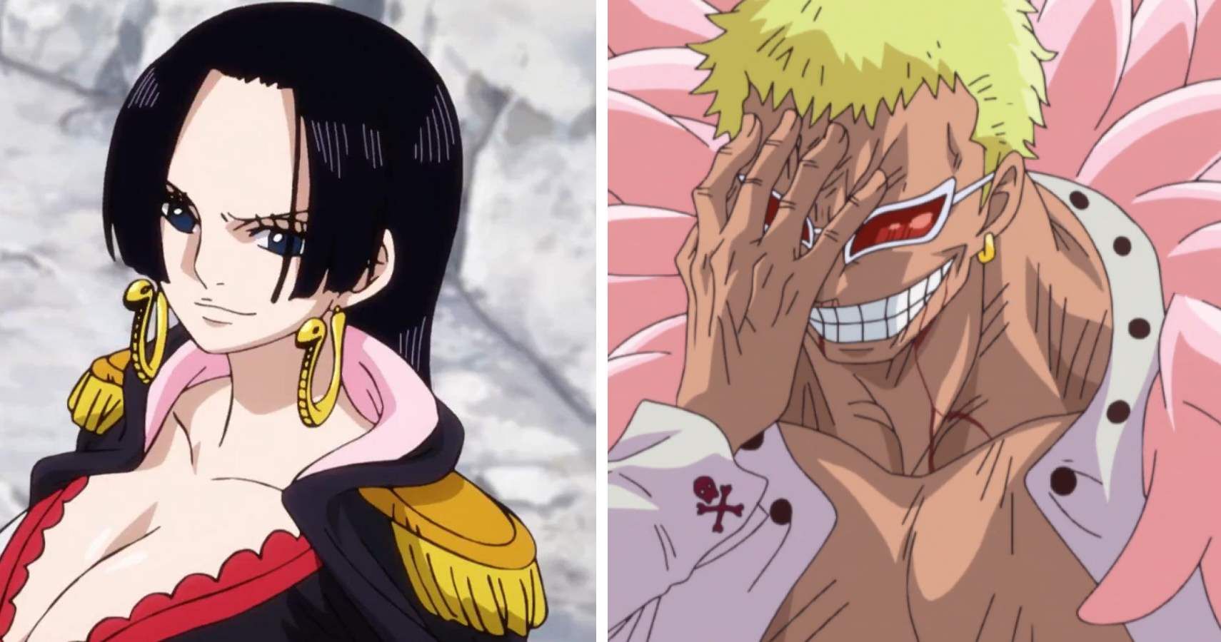 One Piece: 10 Characters You Didn't Know Boa Hancock Could Defeat