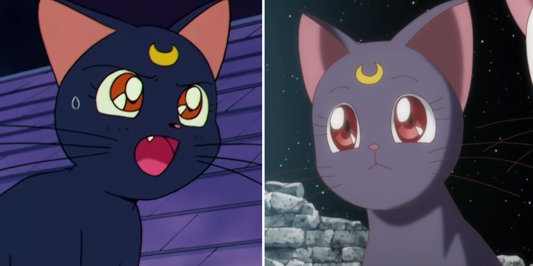 Sailor Moon 10 Things That Make No Sense About Luna