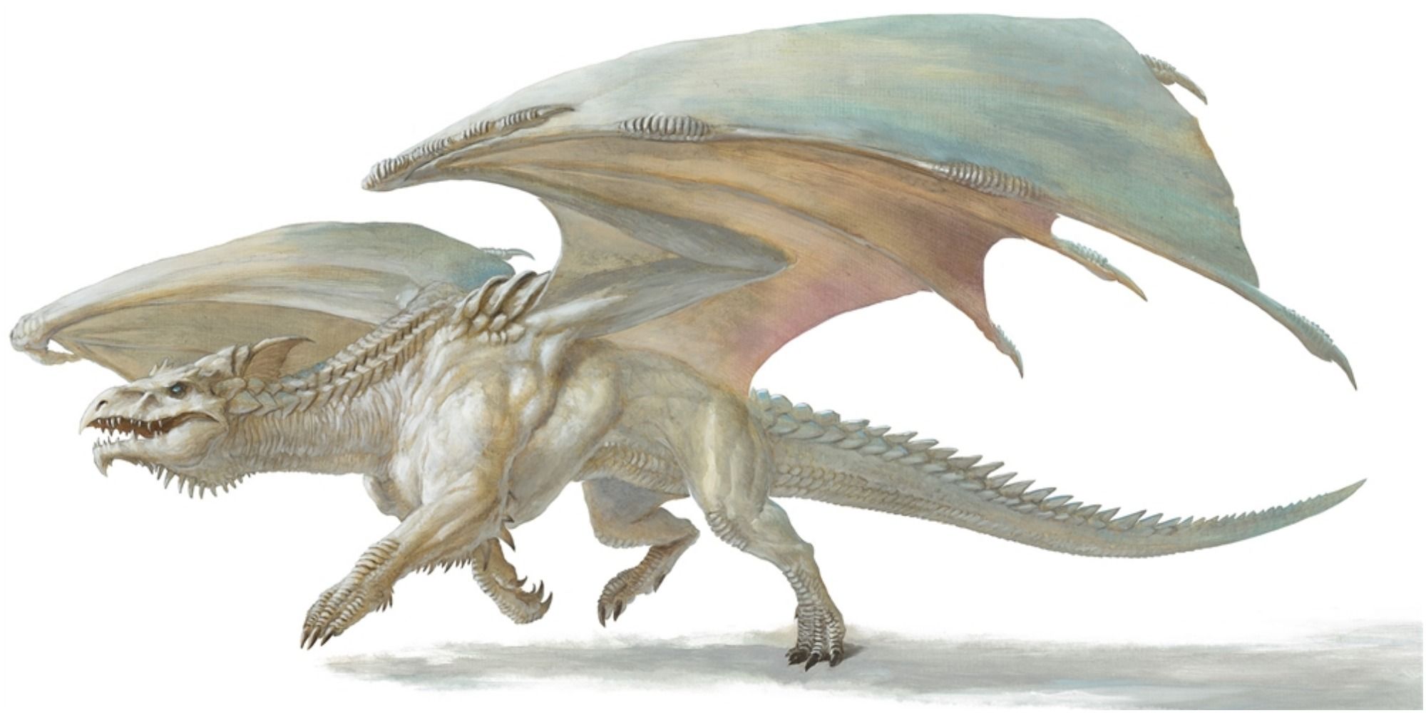 An image of an Ancient White Dragon from DnD