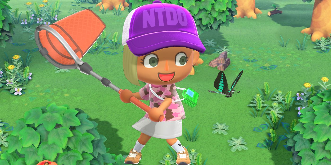 Animal Crossing New Fish & Bugs Arriving in November (& How to Catch Them)