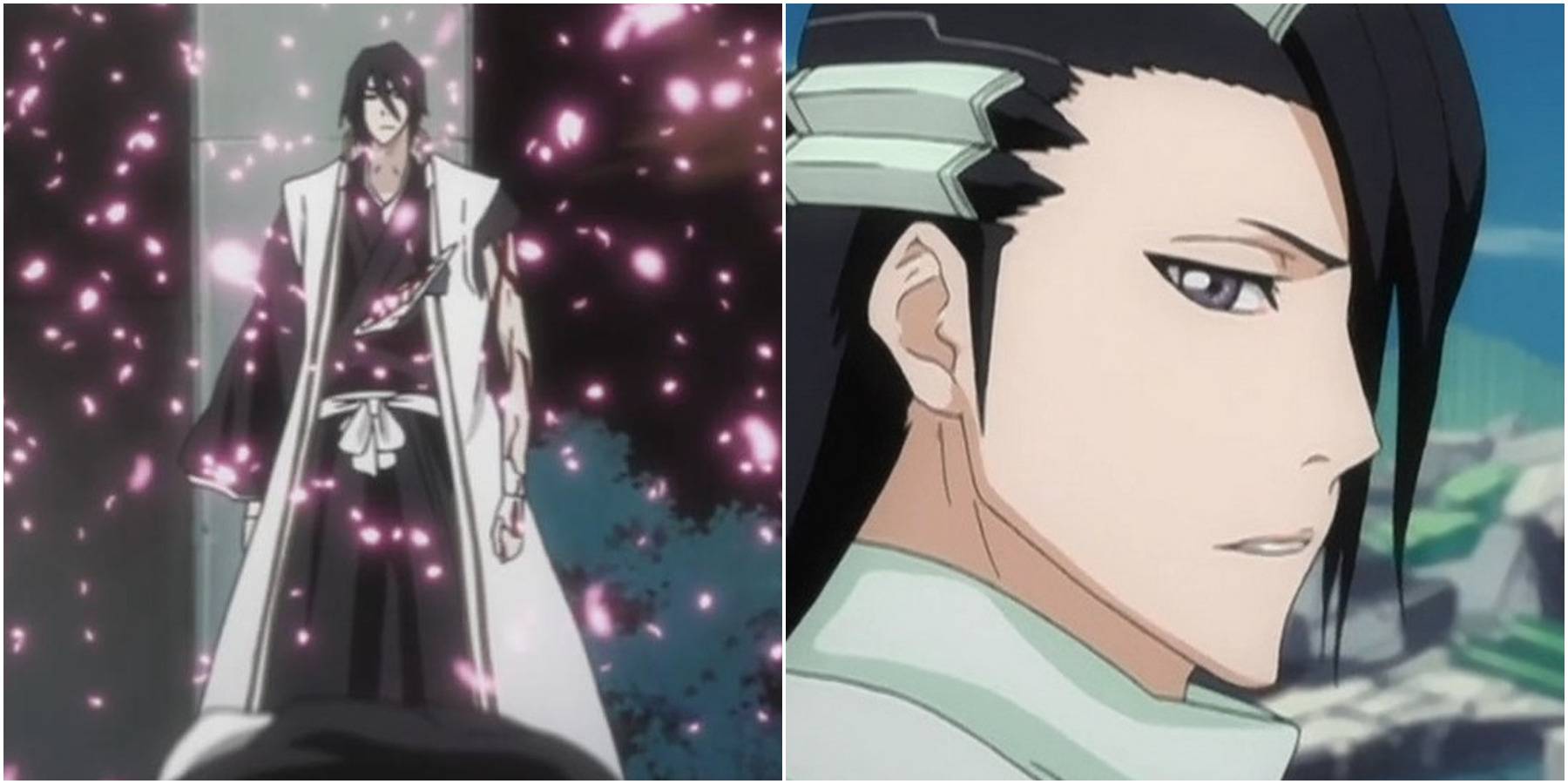 Bleach hisana