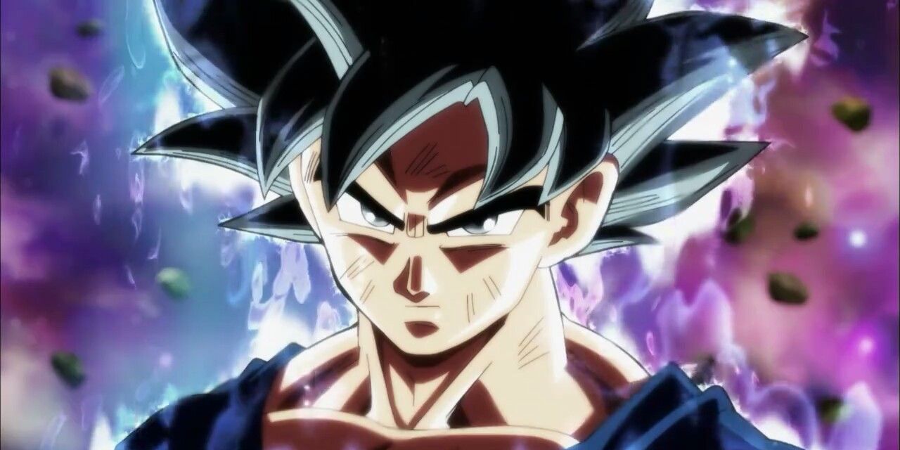Dragon Ball Super Goku Ultra Instinct Black Hair