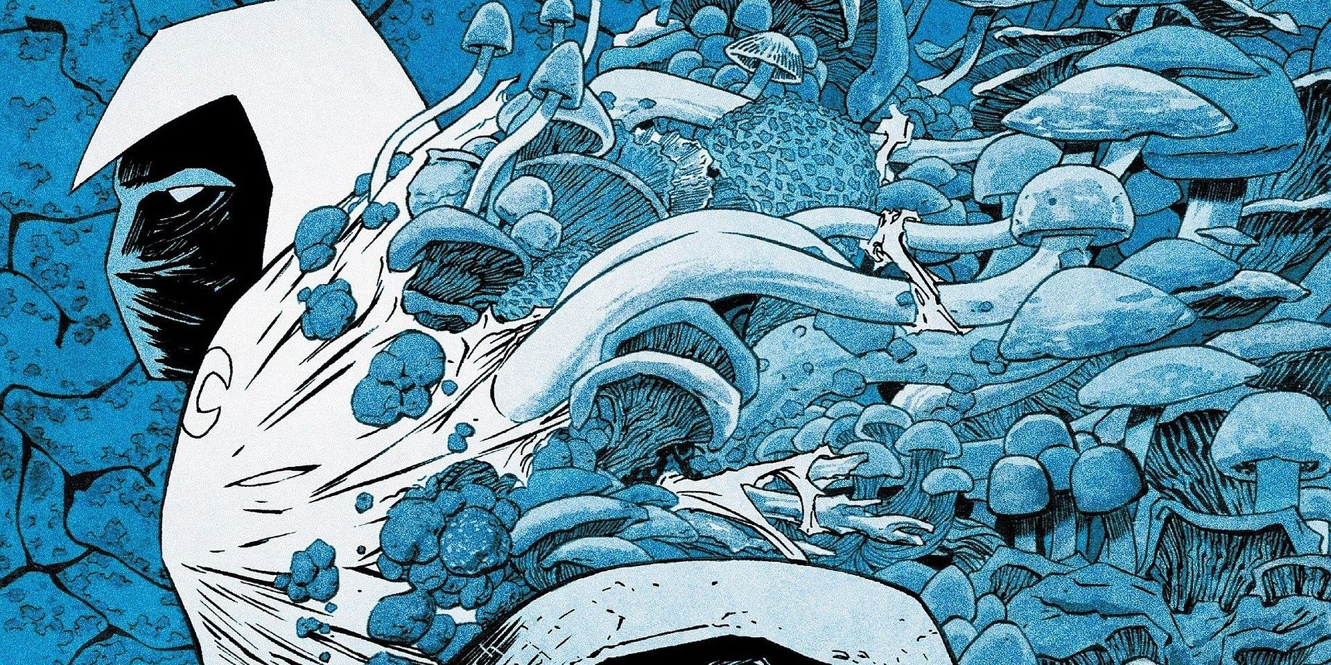 Moon Knight Comics Mushrooms Drug Trip Surreal