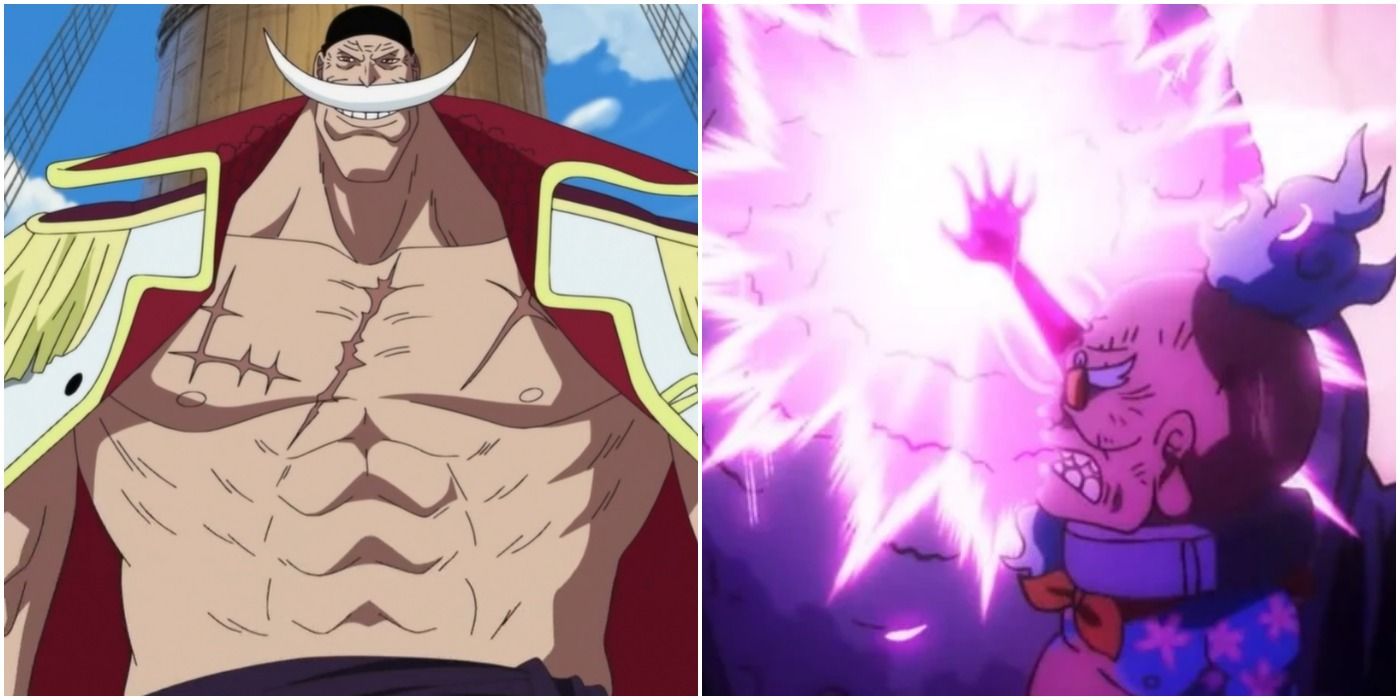 One Piece Whitebeard & 10 Other Characters You Didn't