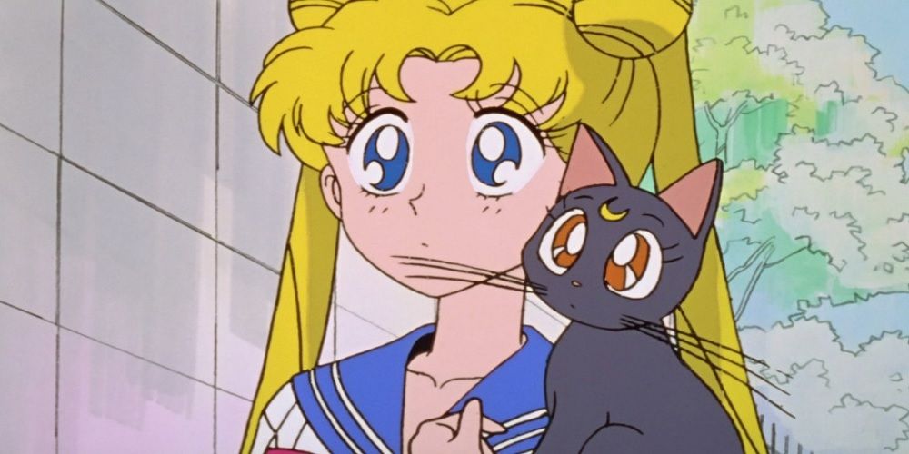 usagi and luna with wide eyes sailor moon