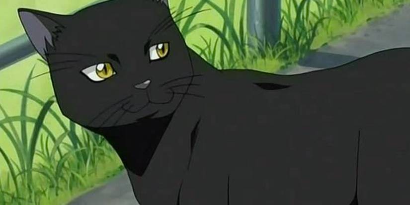 10 Anime Characters Who Can Transform Into Cats