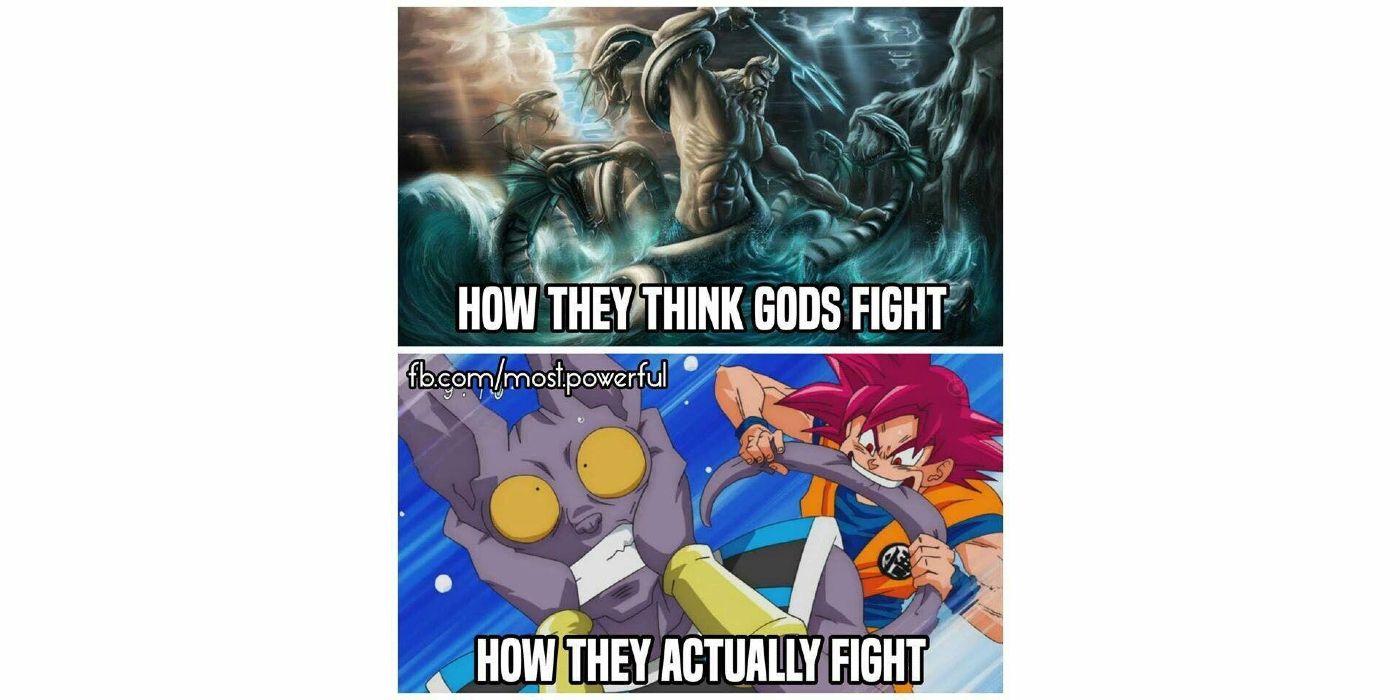 10 Funniest Beerus Memes That Make Us Laugh