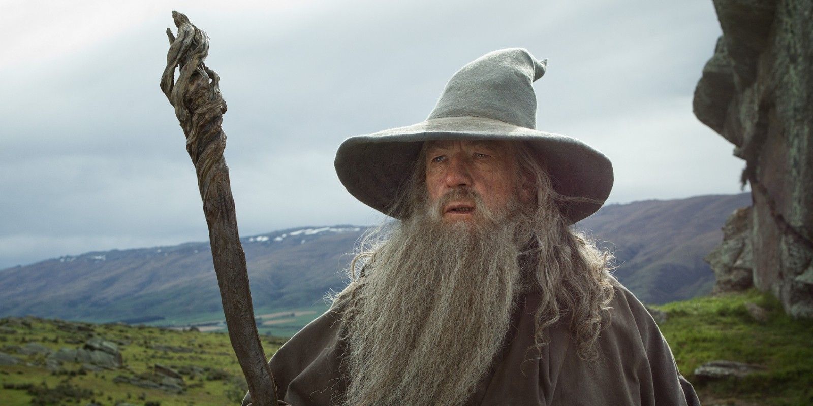 Gandalf the Grey in The Fellowship of the Ring