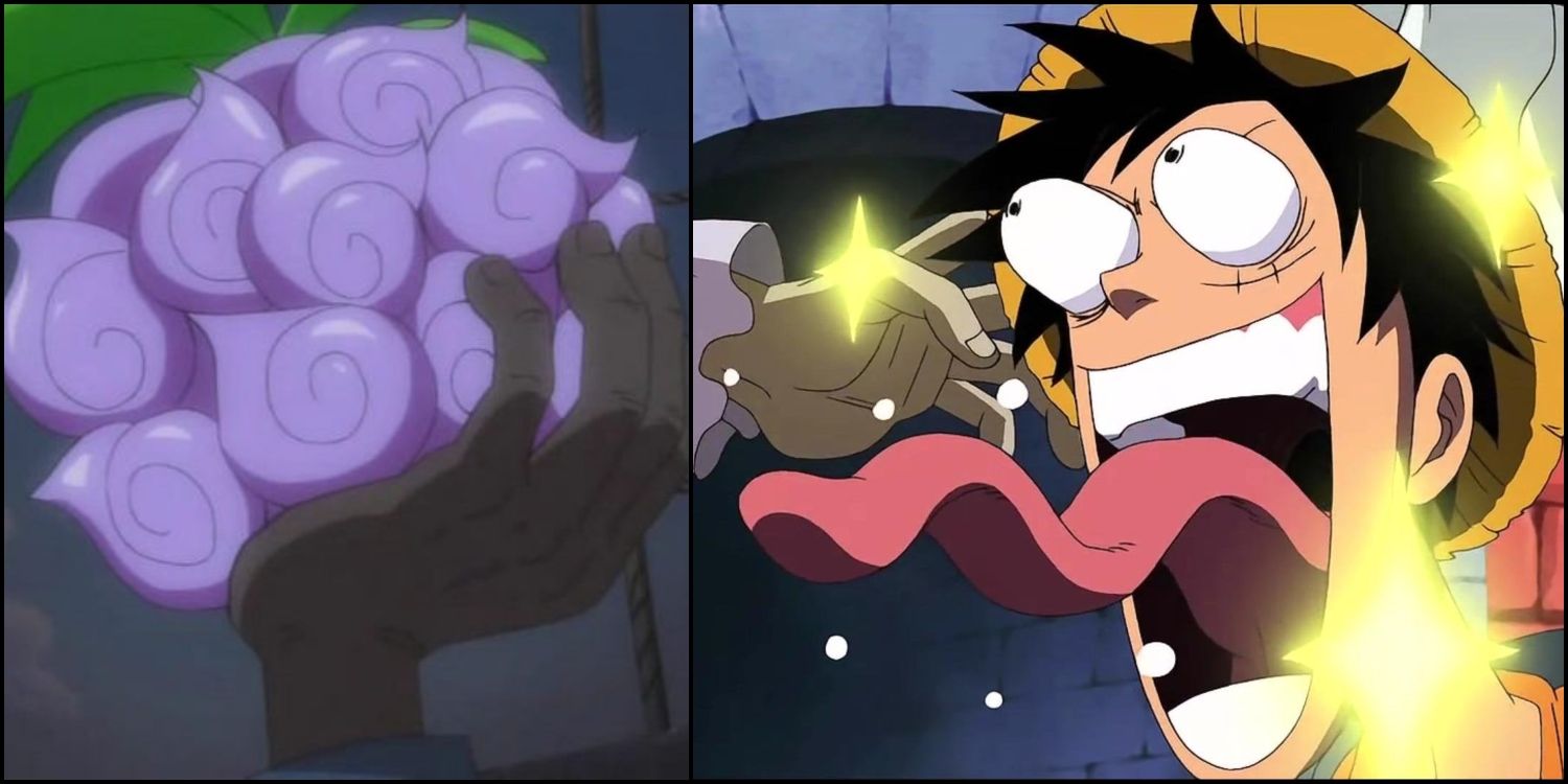 OPINION] 10 Paramecia Devil Fruits That Might Suit Hongo in One Piece!