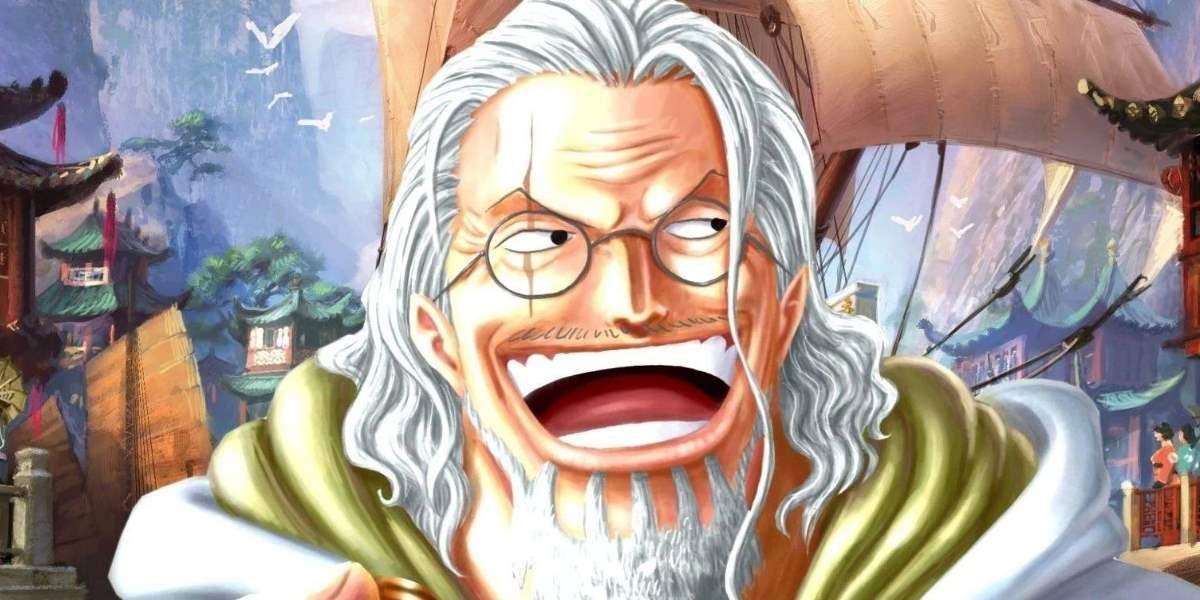 My silver rayliegh, one piece rayleigh HD phone wallpaper | Pxfuel