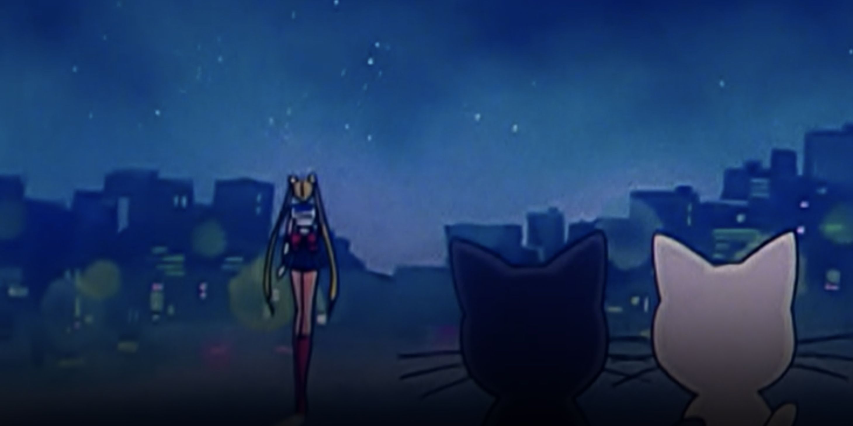 Sailor Moon looking into the night sky with Luna and Artemis behind her