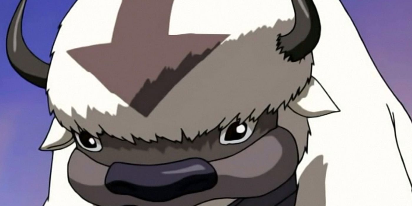 Avatar 10 Things You Didnt Know About Appa