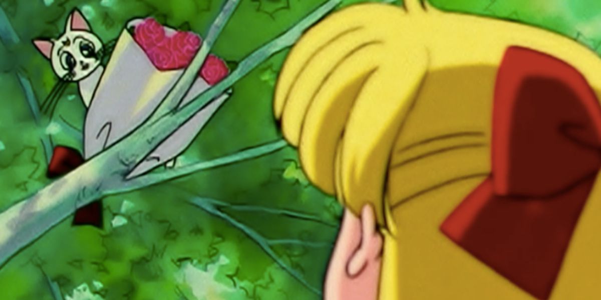 Artemis gives Minako roses to cheer her up