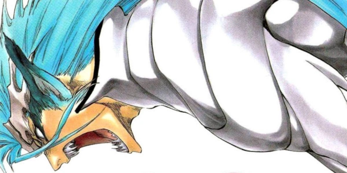 Bleach 10 Best Story Arcs, Ranked