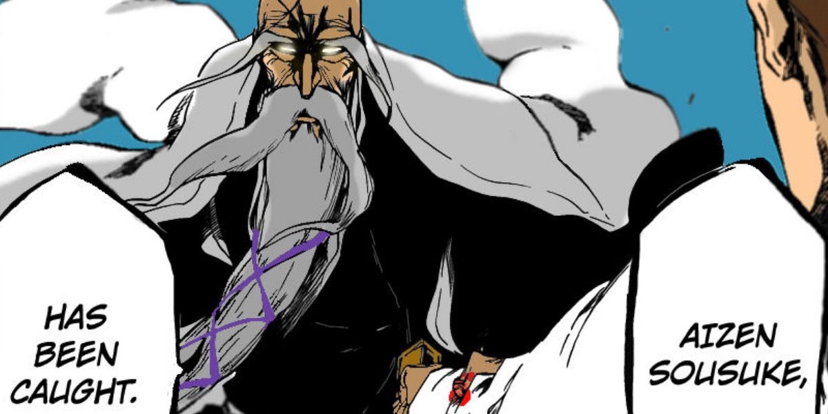 Bleach 10 Best Story Arcs, Ranked