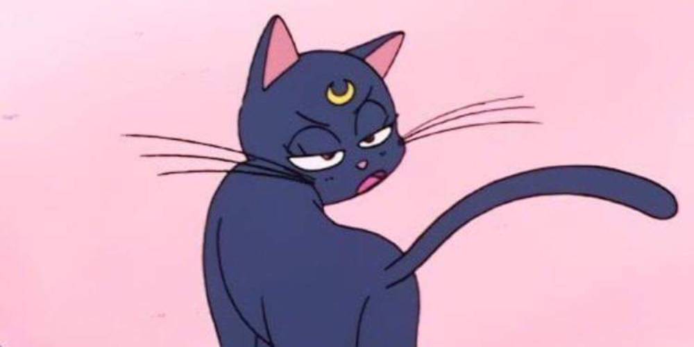 Sailor Moon Luna S 10 Shadiest Burns