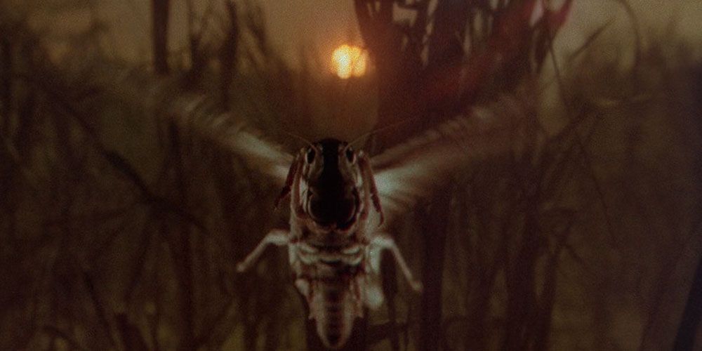 A locust as a symbol in Exorcist II: The Heretic