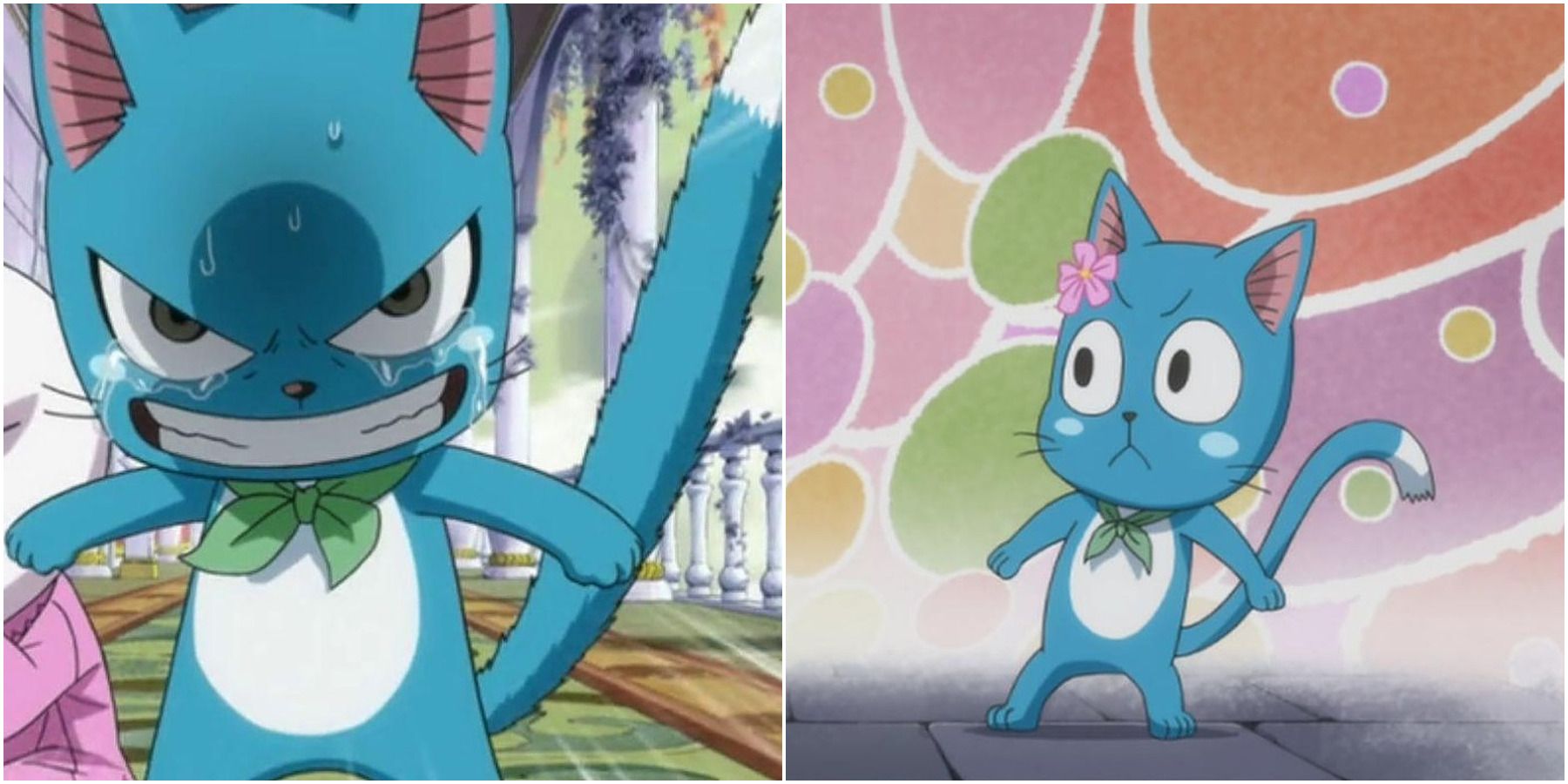 Gray Fullbuster Fairy Tail Anime Cat Happy, Fairy Tail happy, mammal, cat  Like Mammal png | PNGEgg