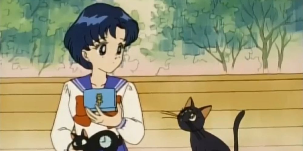 Sailor Mecury is given a handheld computer by Luna to use