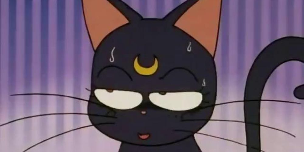 Luna is frustrated with Usagi, most likely