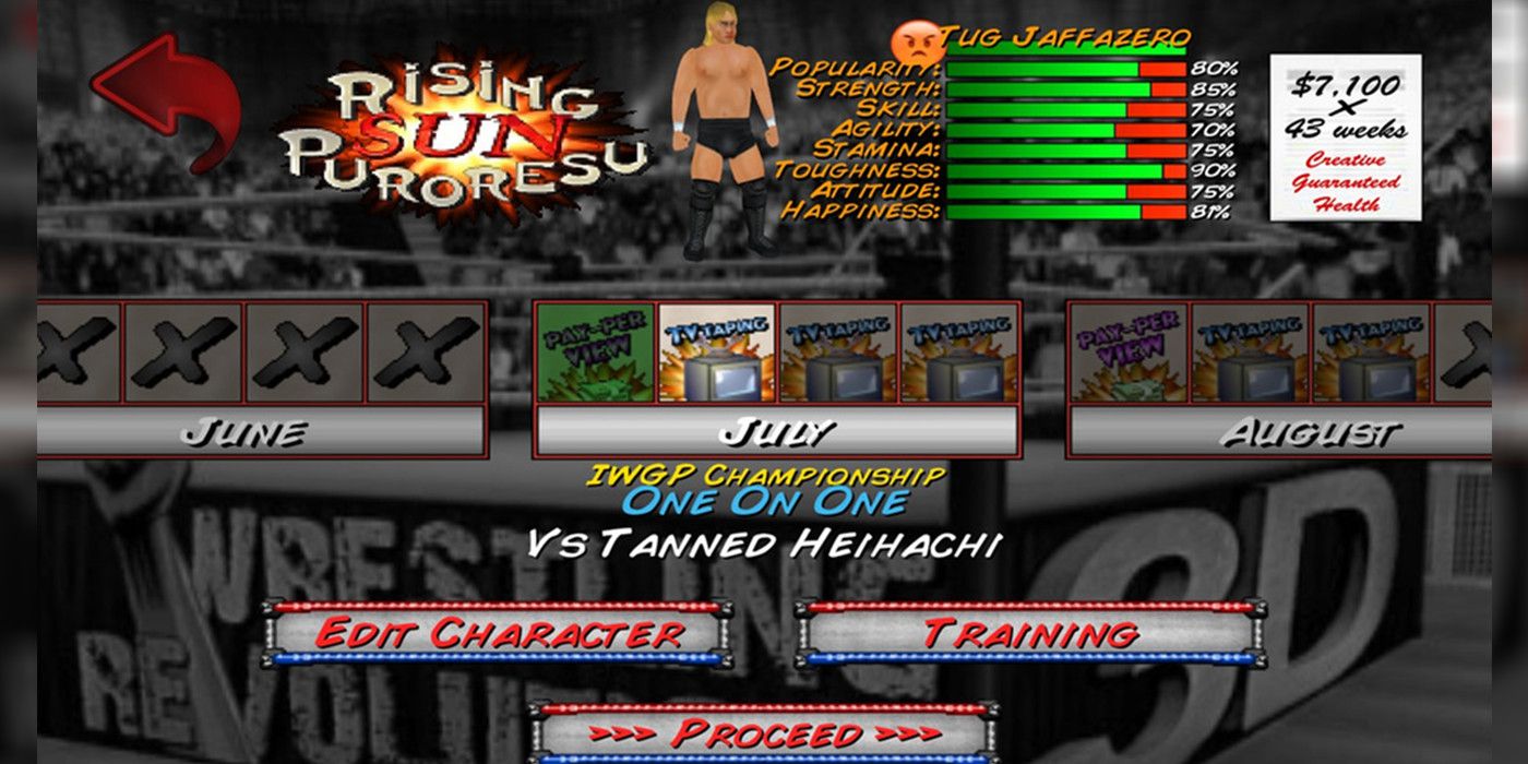 The Most Underrated Wrestling Game EVER Was Made by ONE Person