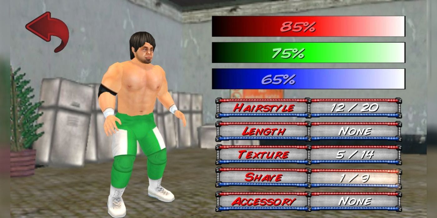 The Most Underrated Wrestling Game EVER Was Made by ONE Person