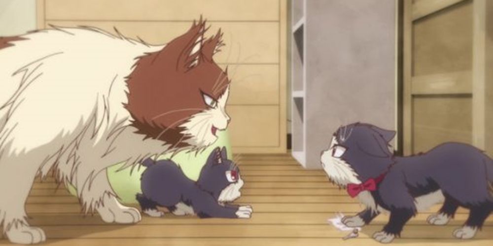 My Roommate Is A Cat: 10 Things You Need To Know About Haru