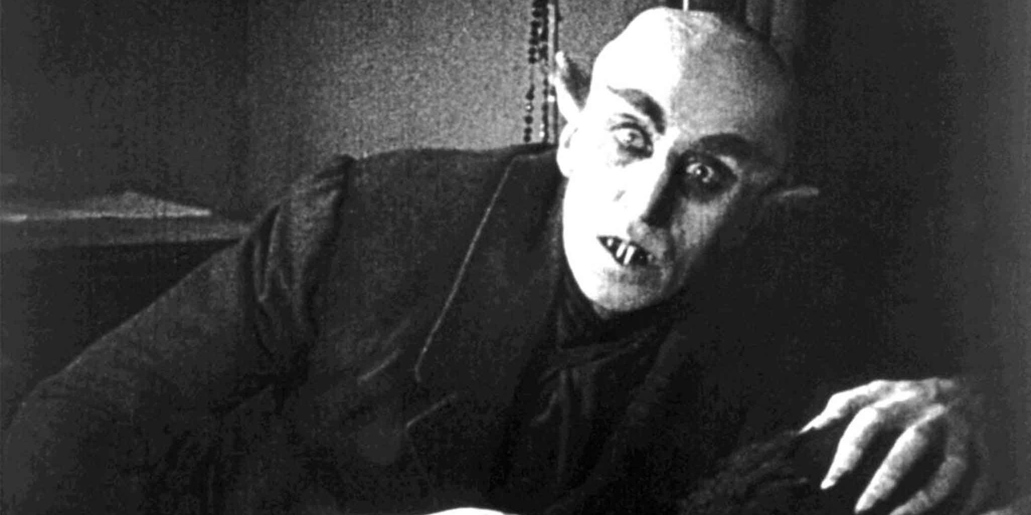 Count Orlok looking into the camera