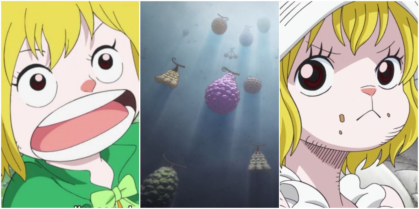 What is the power of the Soru Soru no Mi (One Piece devil fruit