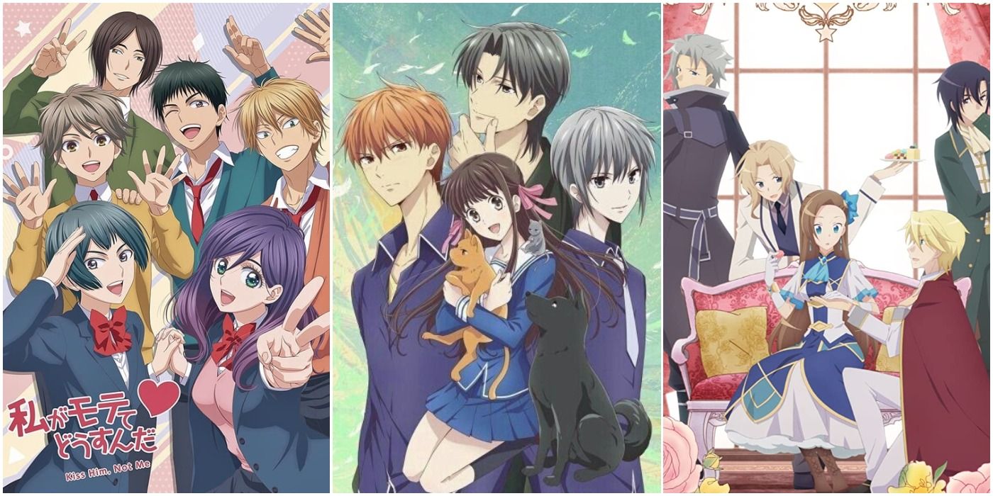 Fruits Basket & 9 Other Reverse Harem Anime With Great Female