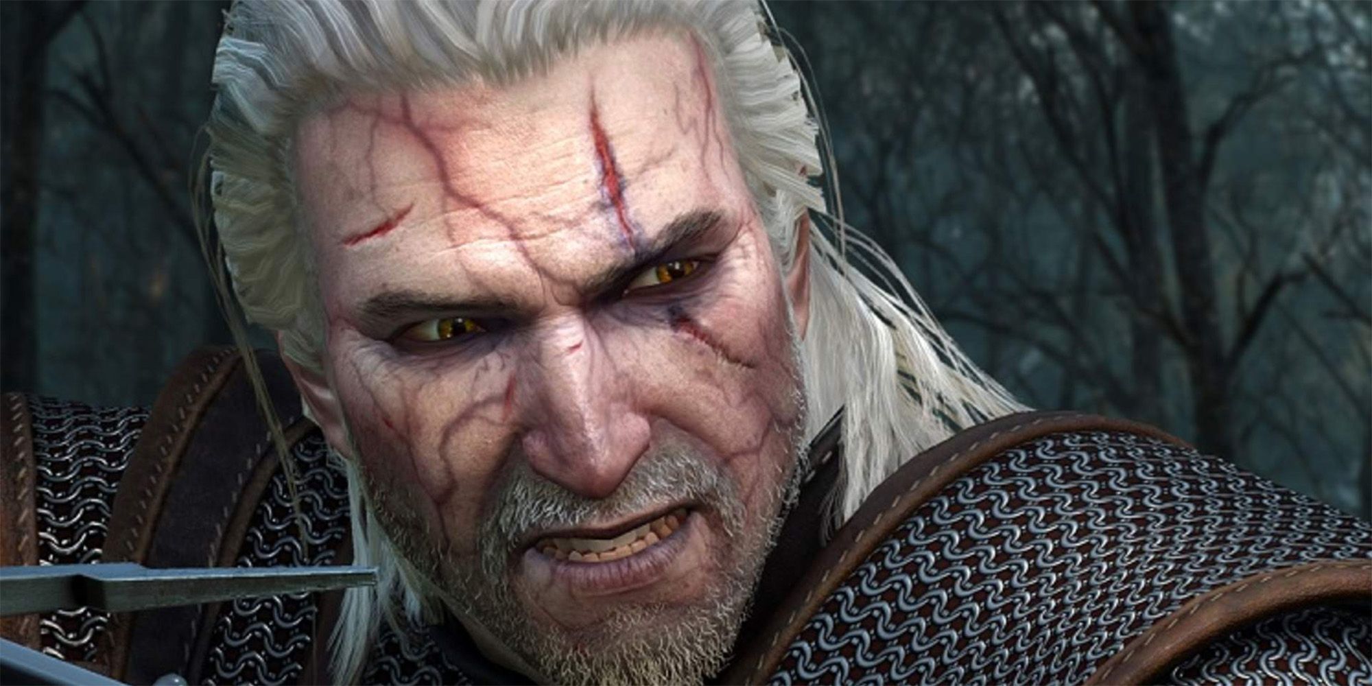 The Witcher 2's PC Mod Adds An Epilogue