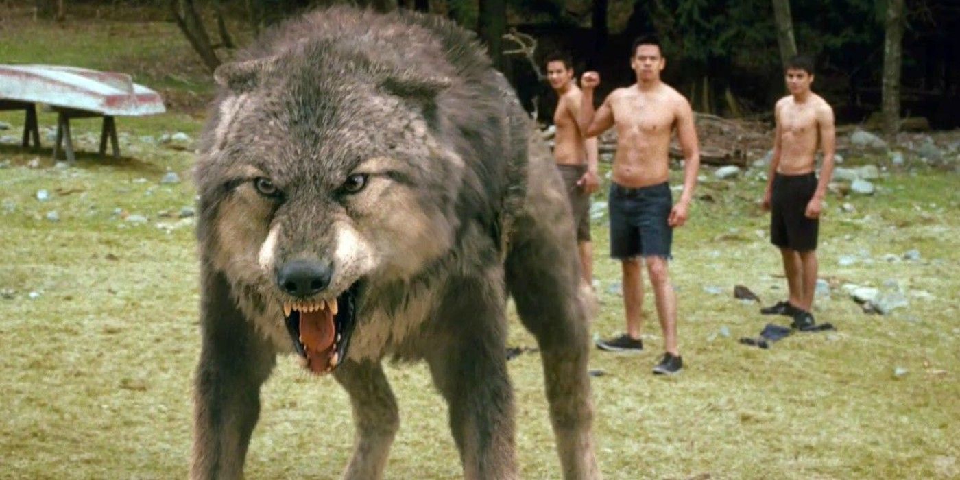 Twilight Werewolves