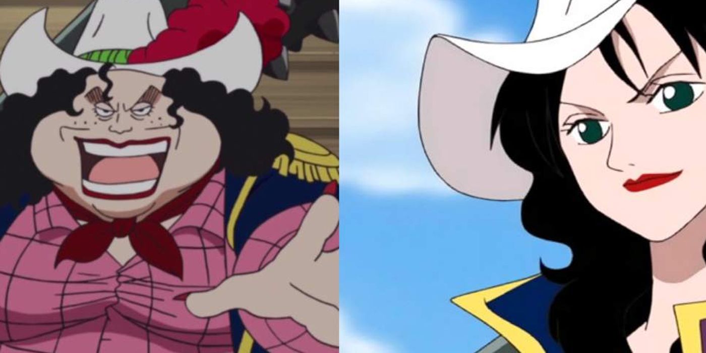 One Piece: 5 Ways Characters Look Better Post Timeskip (& 5 Ways They ...