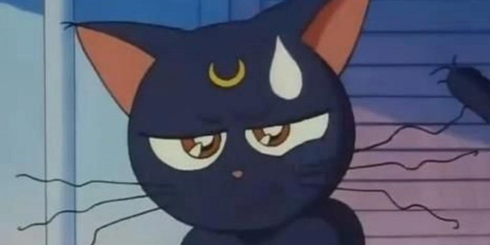 Luna looks frazzled and angry, most likely because of Sailor Moon