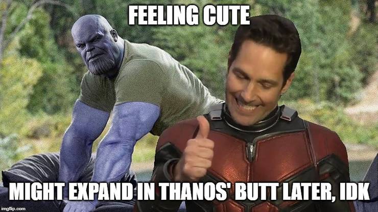 Marvel 10 Hilarious Ant Man Vs Thanos Memes You Need To See Marvel 10 Hilarious Ant Man Vs Thanos Memes You Need To See