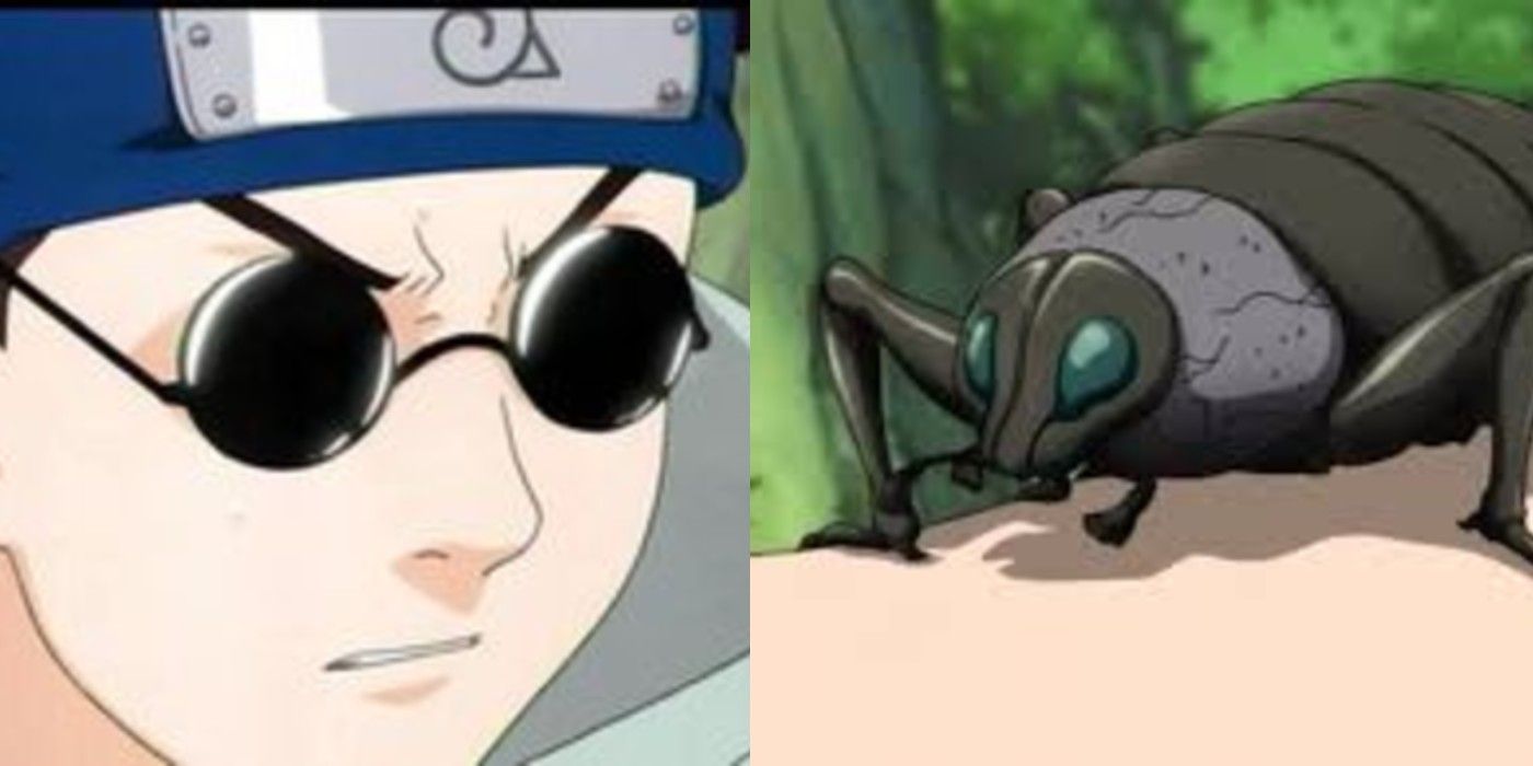 shino and his beetle naruto