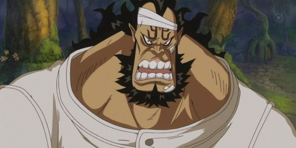 One Piece: Every Known Heart Pirate Ranked By Likability