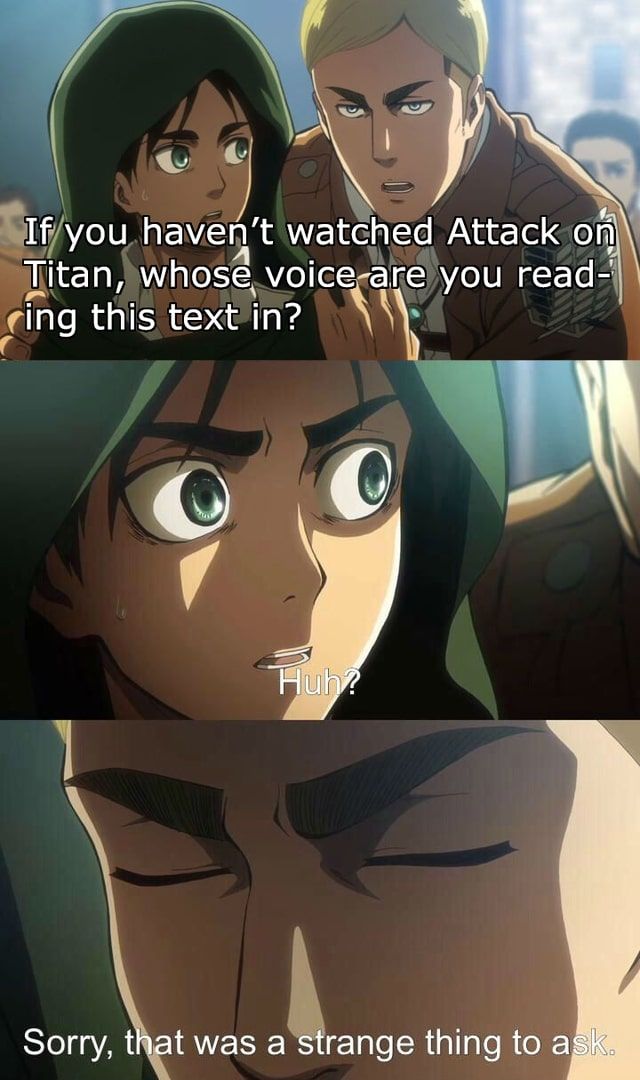 Non-attack on titan fans can't read the meme in Erwin's voice.