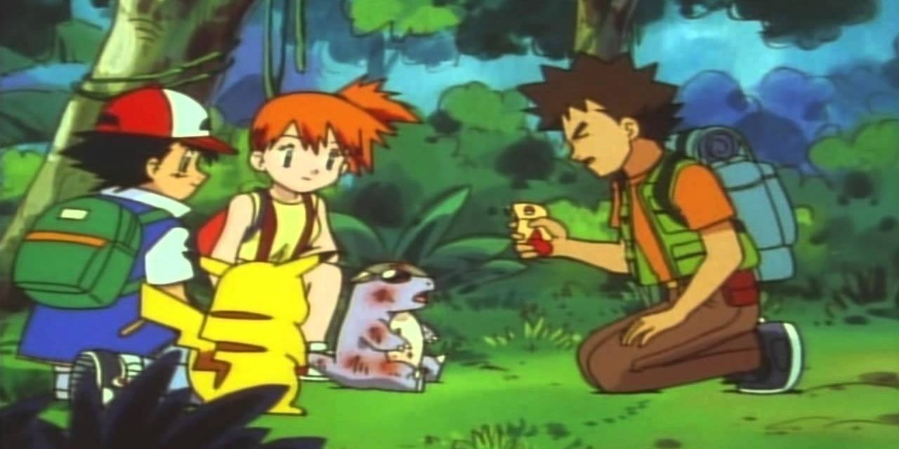 Brock trying to treat a wild Pokemon