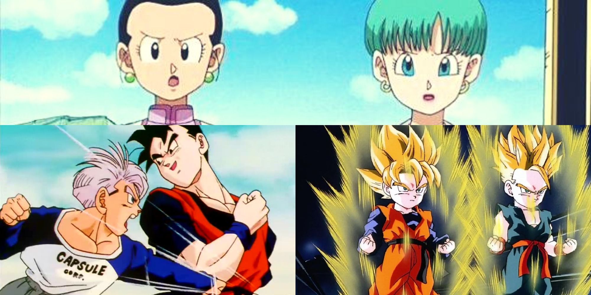 Dragon Ball: 5 Reasons Why Vegeta Is Actually Goku's Best Friend (& 5 ...