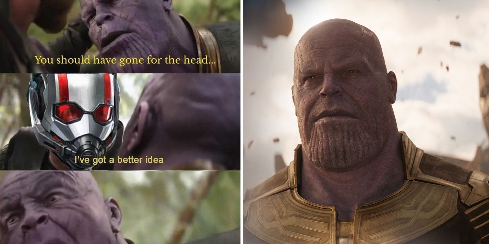 Marvel: 10 Hilarious Ant-Man Vs. Thanos Memes You Need To See