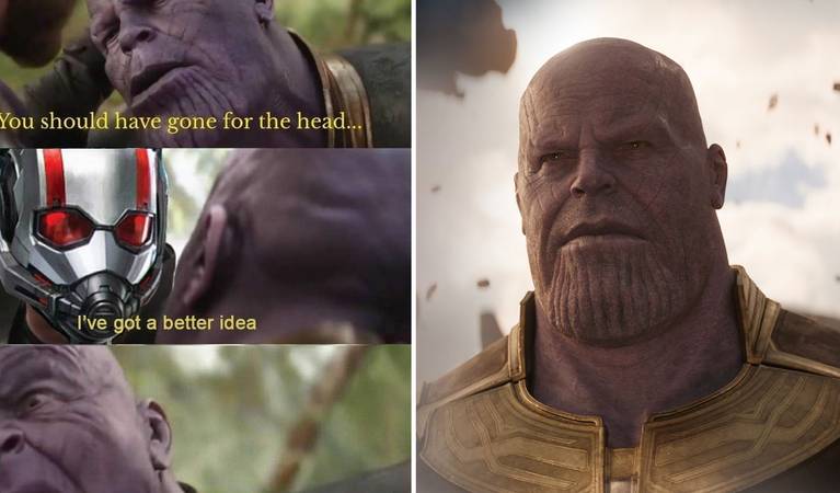 Marvel 10 Hilarious Ant Man Vs Thanos Memes You Need To See Marvel 10 Hilarious Ant Man Vs Thanos Memes You Need To See