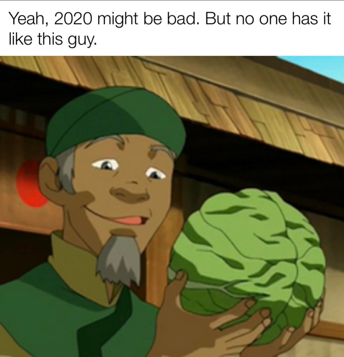 Avatar The Last Airbender The 10 Best Cabbage Man Memes