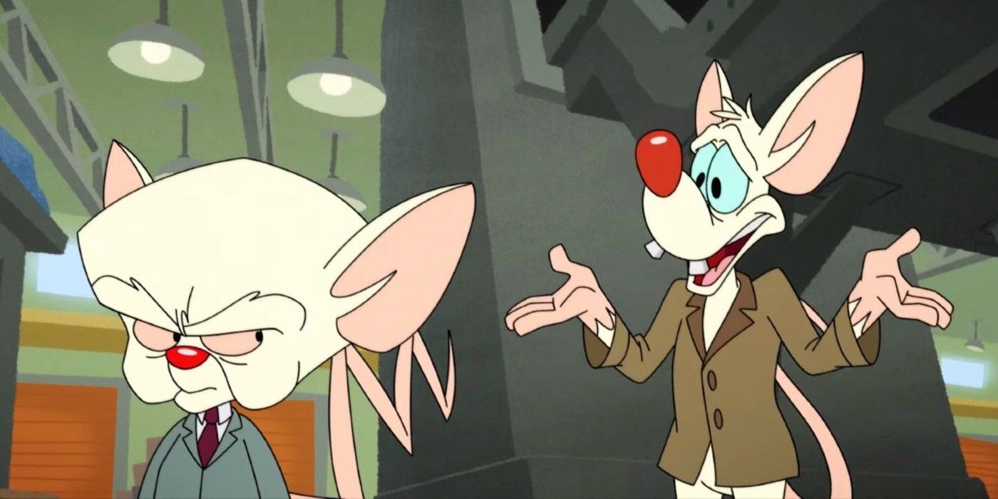 Pinky and Brain in Hulu's Animaniacs