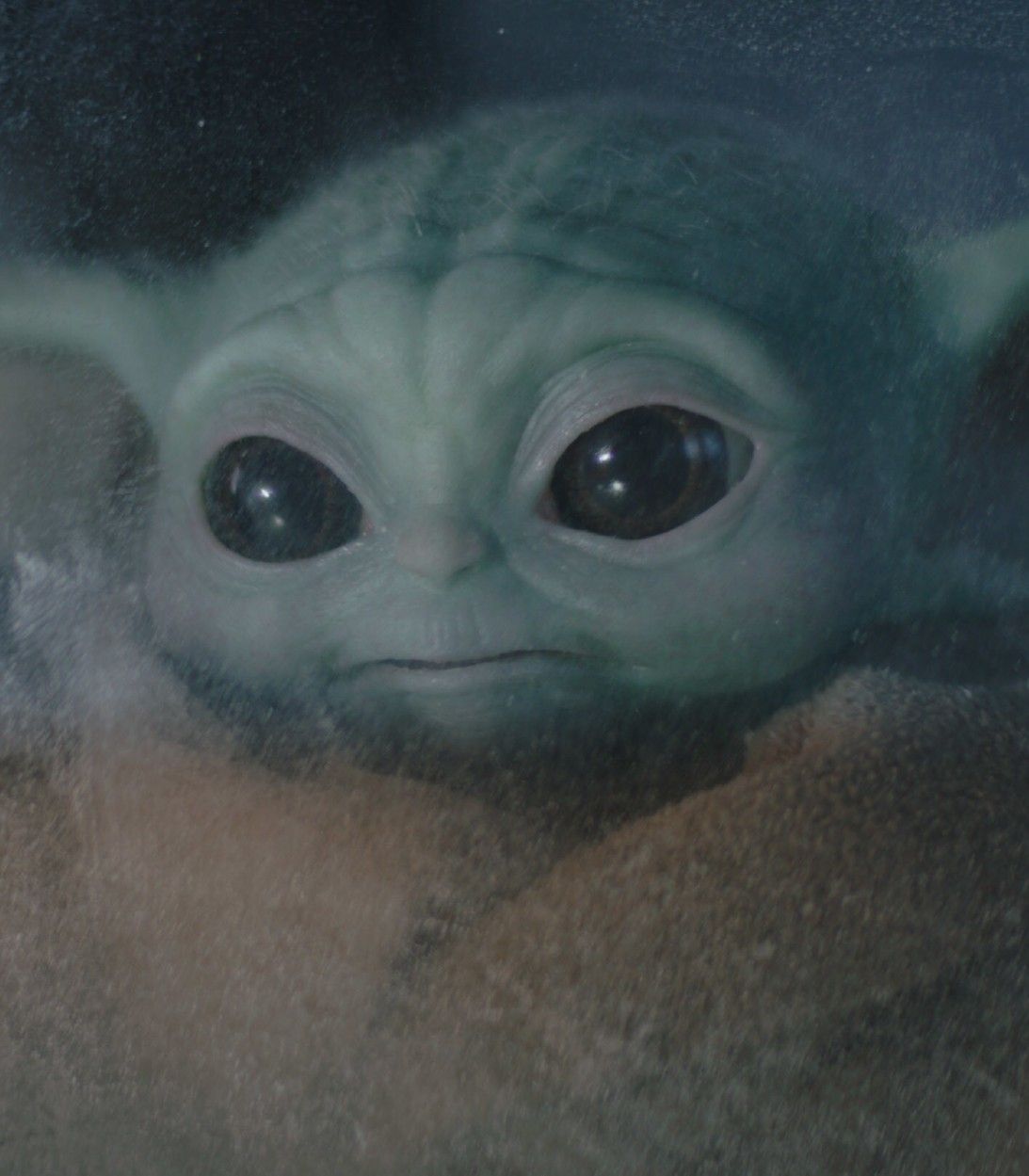 Baby Yoda in The Mandalorian Season 2 Episode The Passenger