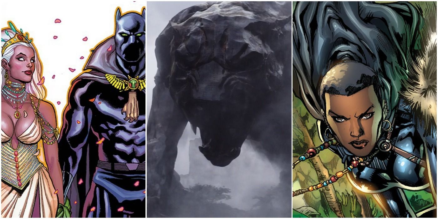 Black Panther: 10 Things Only True Fans Know About The Wakandan Royal Family