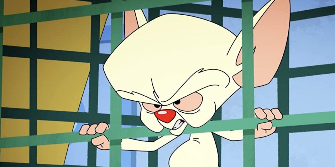 Animaniacs Star Explains Why Brain Is Way Edgier Than He Used to Be