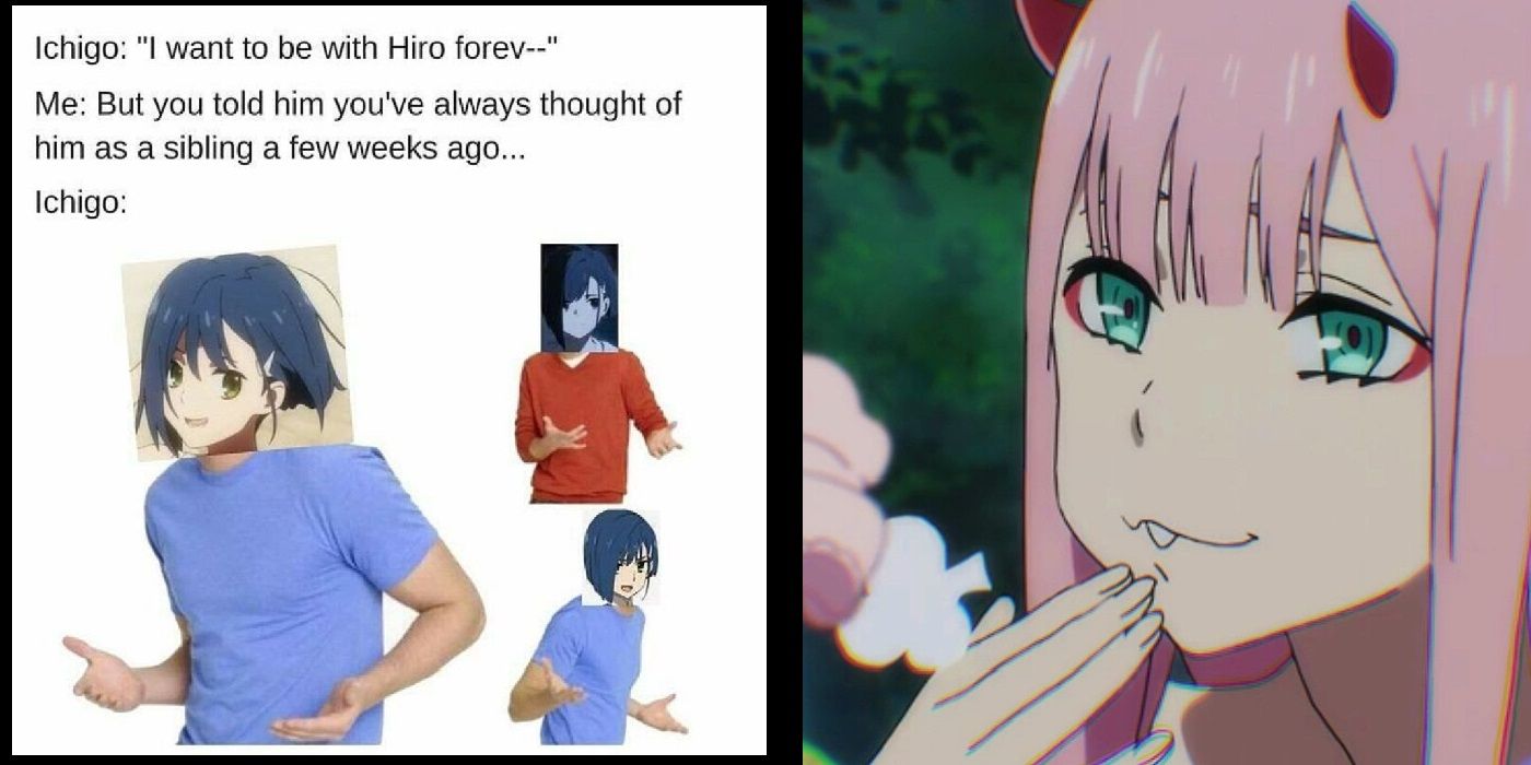 10 Darling In The Franxx Memes Only True Fans Understand. 