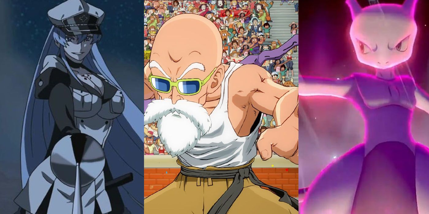 Esdeath Mewtwo And Master Roshi In Fighting Stances