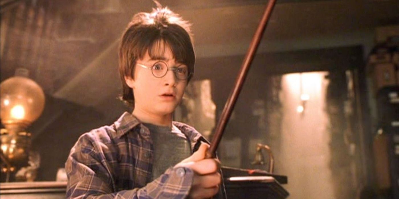 Harry receives his wand for the first time